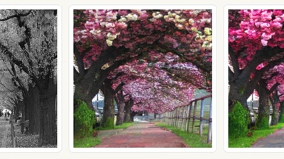 텍스트 기반 이미지 색채화 품질 개선 featured image
