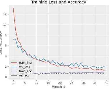 DenseNet121 학습 곡선 (Training Loss & Accuracy)